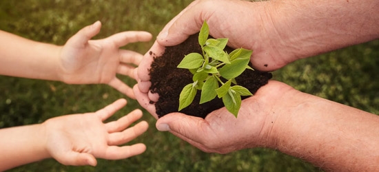 Sustentabilidade socioambiental